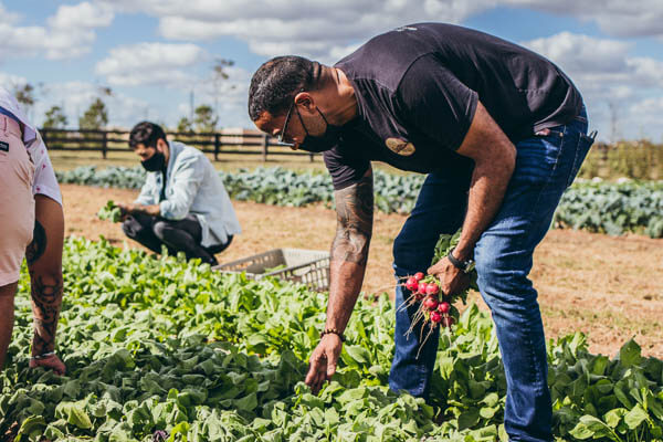 Chris Williams on farm
